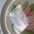 画像3: スージー・クーパー　ディナープレート　A　【パトリシアローズ/ピンク】 (3)