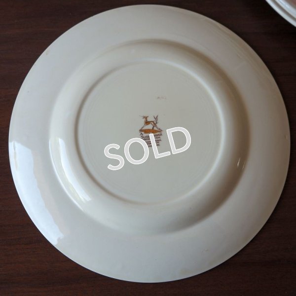 画像8: スージー・クーパー　22.5cmプレート　【パトリシアローズ/ピンク】C