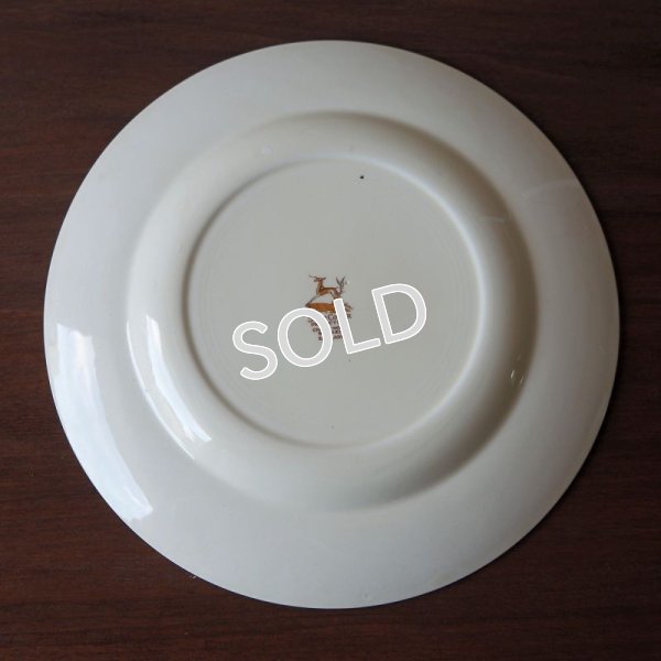 画像7: スージー・クーパー　22.5cmプレート　【パトリシアローズ/ピンク】D