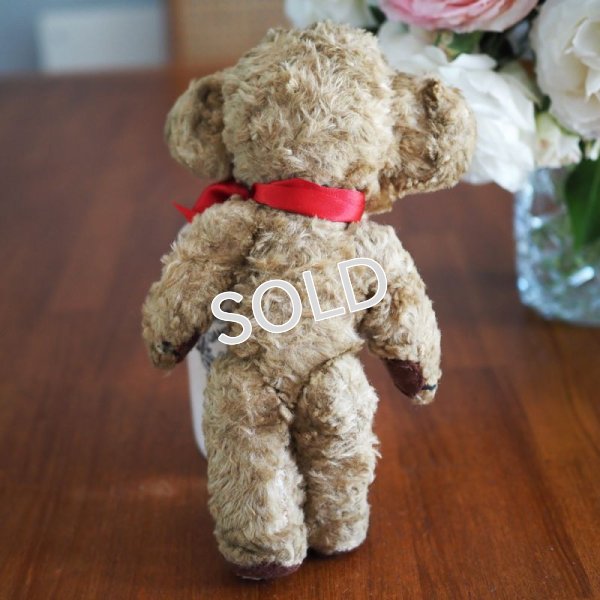 画像5: ご予約済　ビンテージ　テディベア　【メリーソート/チーキー 9インチ　アートシルク　REGD DESIGN】1957〜1960’s　航空便送料込