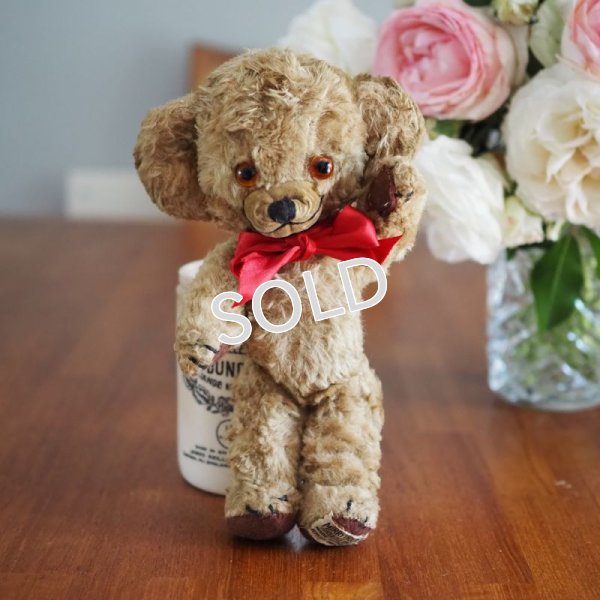 画像4: ご予約済　ビンテージ　テディベア　【メリーソート/チーキー 9インチ　アートシルク　REGD DESIGN】1957〜1960’s　航空便送料込