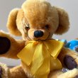 画像2: ビンテージ　テディベア　【メリーソート/チーキー 31cm 】 (2)