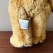 画像8: ビンテージ　テディベア　【メリーソート/チーキー 31cm 】 (8)